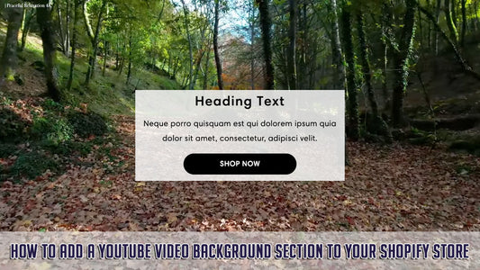 How To Add a YouTube Video Background Section To Your Shopify Store